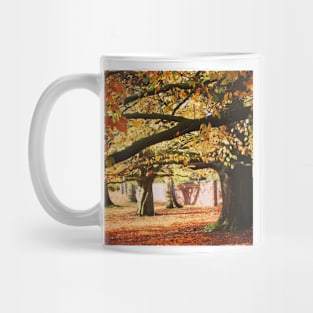 Autumn woodland Mug